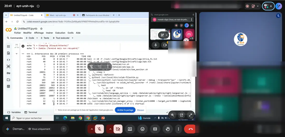 Séance en direct : Pratique sur Linux